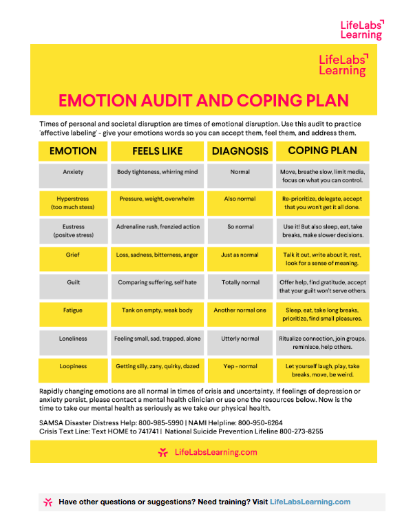 Emotion Audit and Coping Plan 